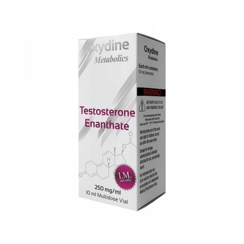 Testosteron Enanthate 250MG